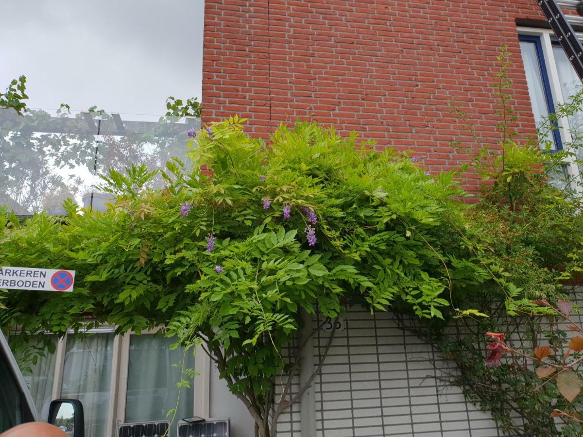 Johan'S B&B, Dakterras & Goedkoop Parkeren - Sinds 2014 Amsterdam Exteriér fotografie
